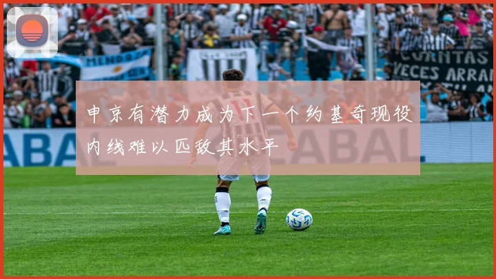 申京有潜力成为下一个约基奇现役内线难以匹敌其水平