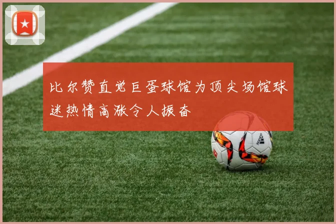 比尔赞直觉巨蛋球馆为顶尖场馆球迷热情高涨令人振奋